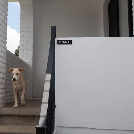 Casa Naamja Hotell Tepoztlán Eksteriør bilde